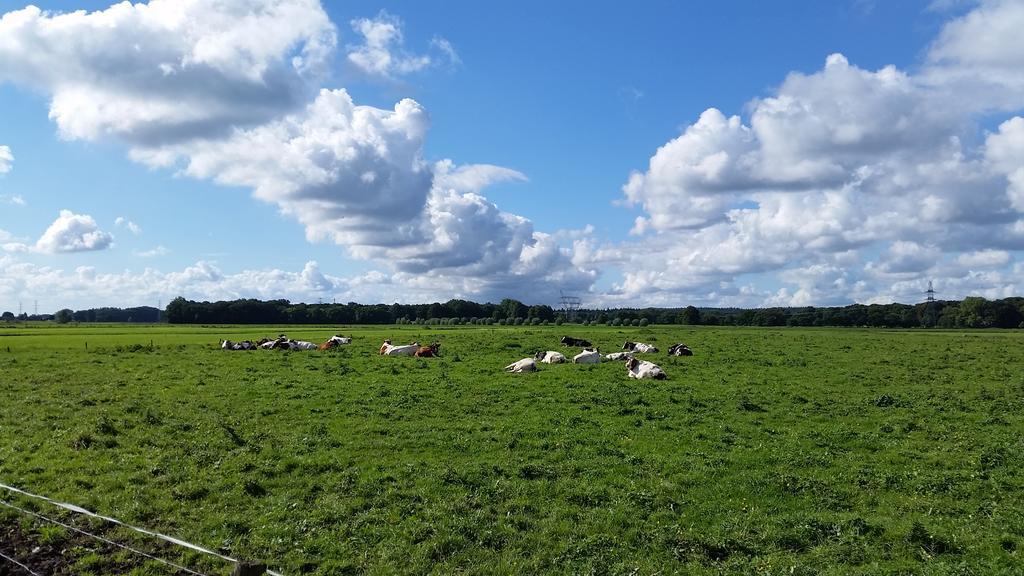 B&B De Rivierduin Hattem Eksteriør bilde