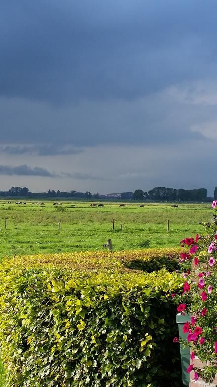 B&B De Rivierduin Hattem Eksteriør bilde